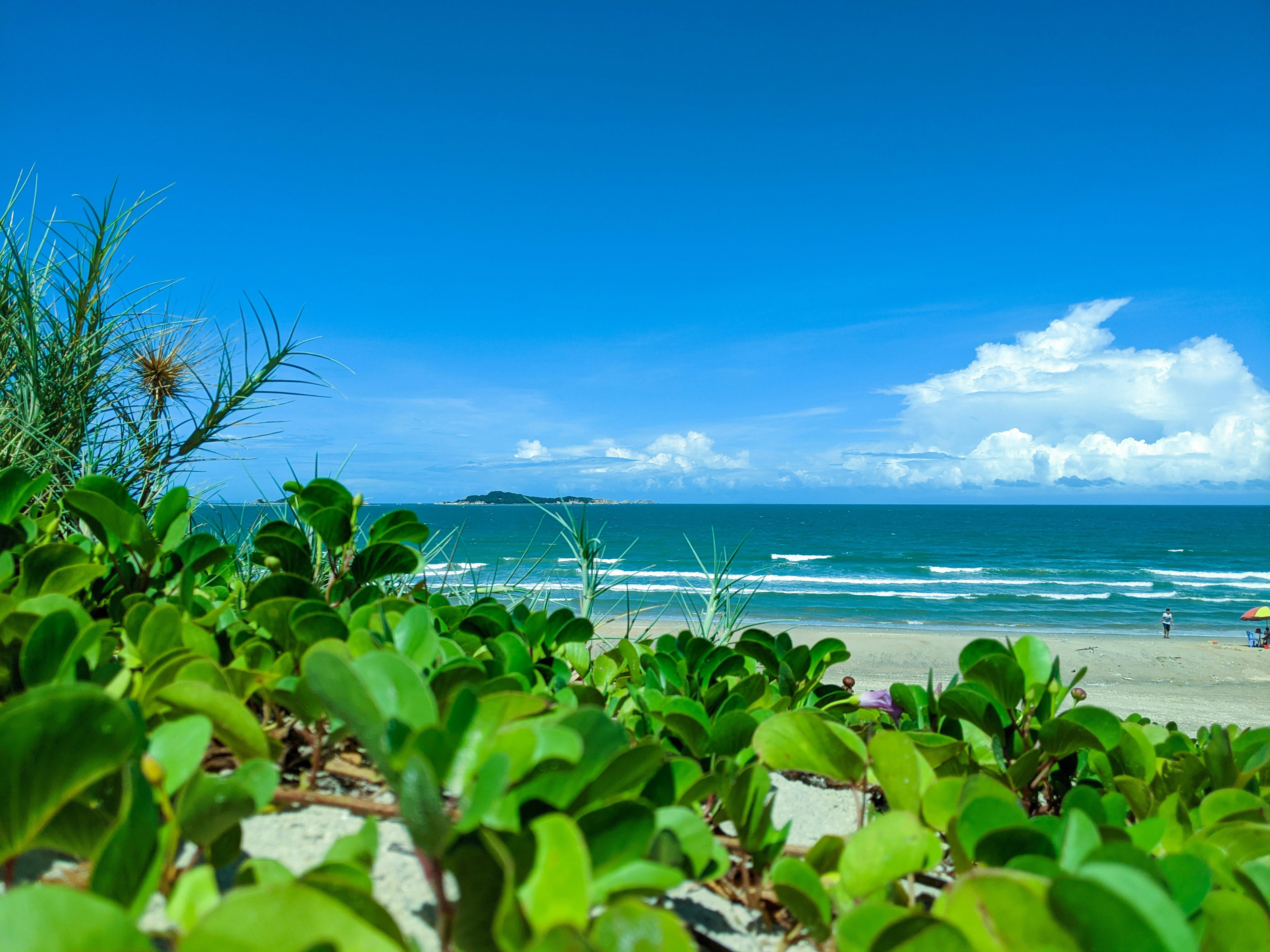 Photo by shredder2002