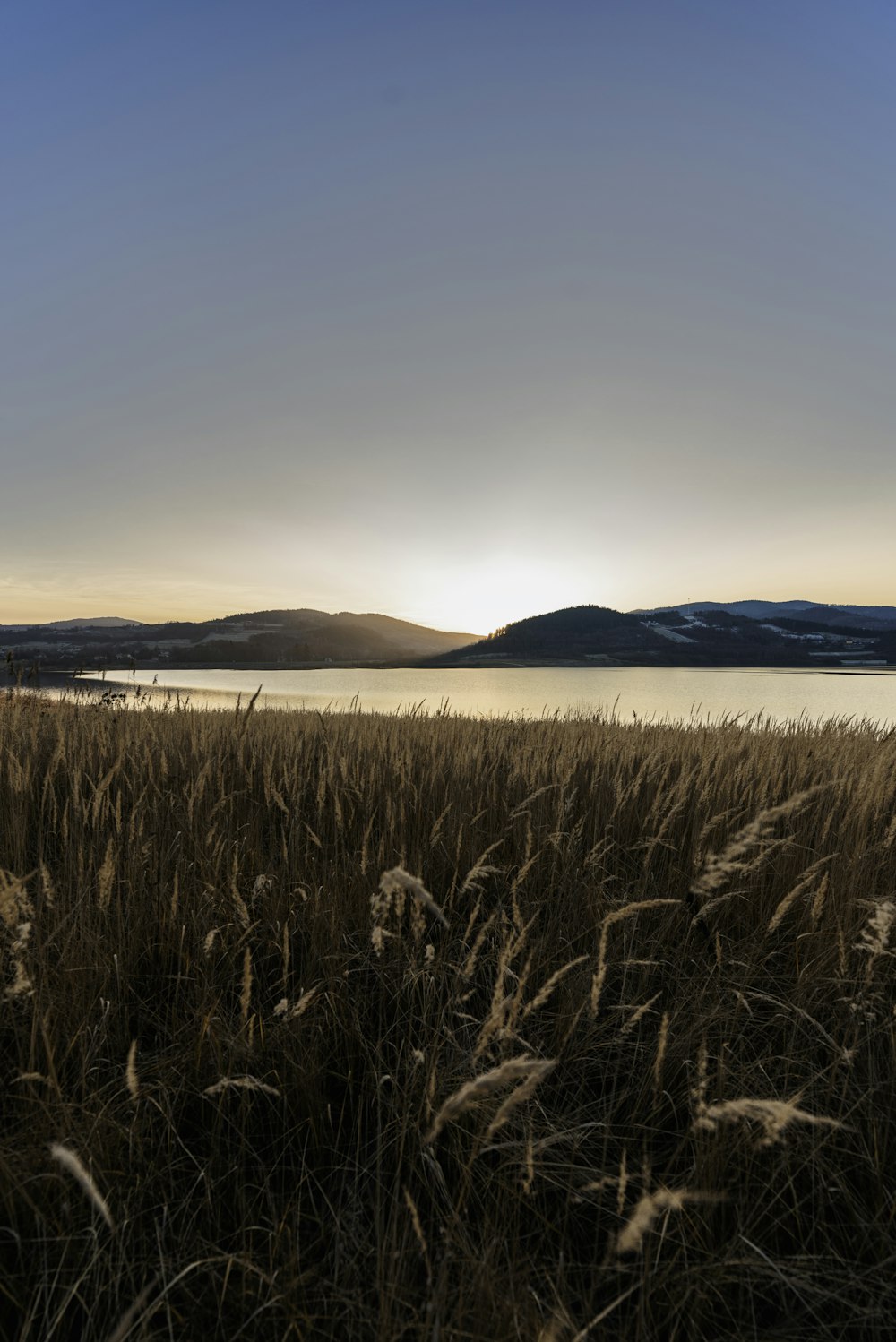 brown grass field near body of water during daytime