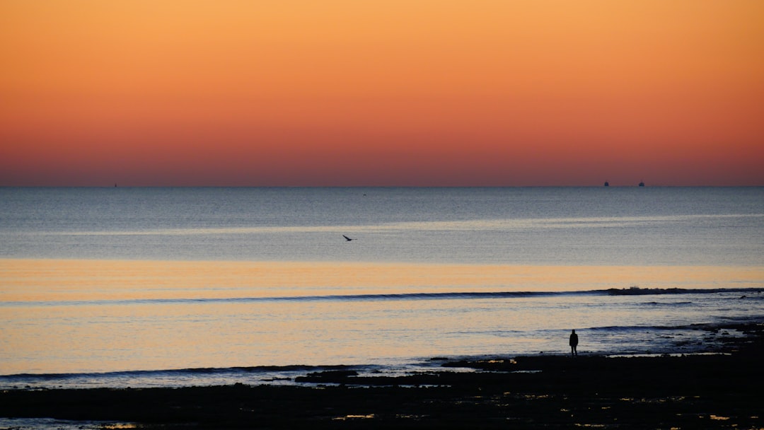 person walking on beach during daytime