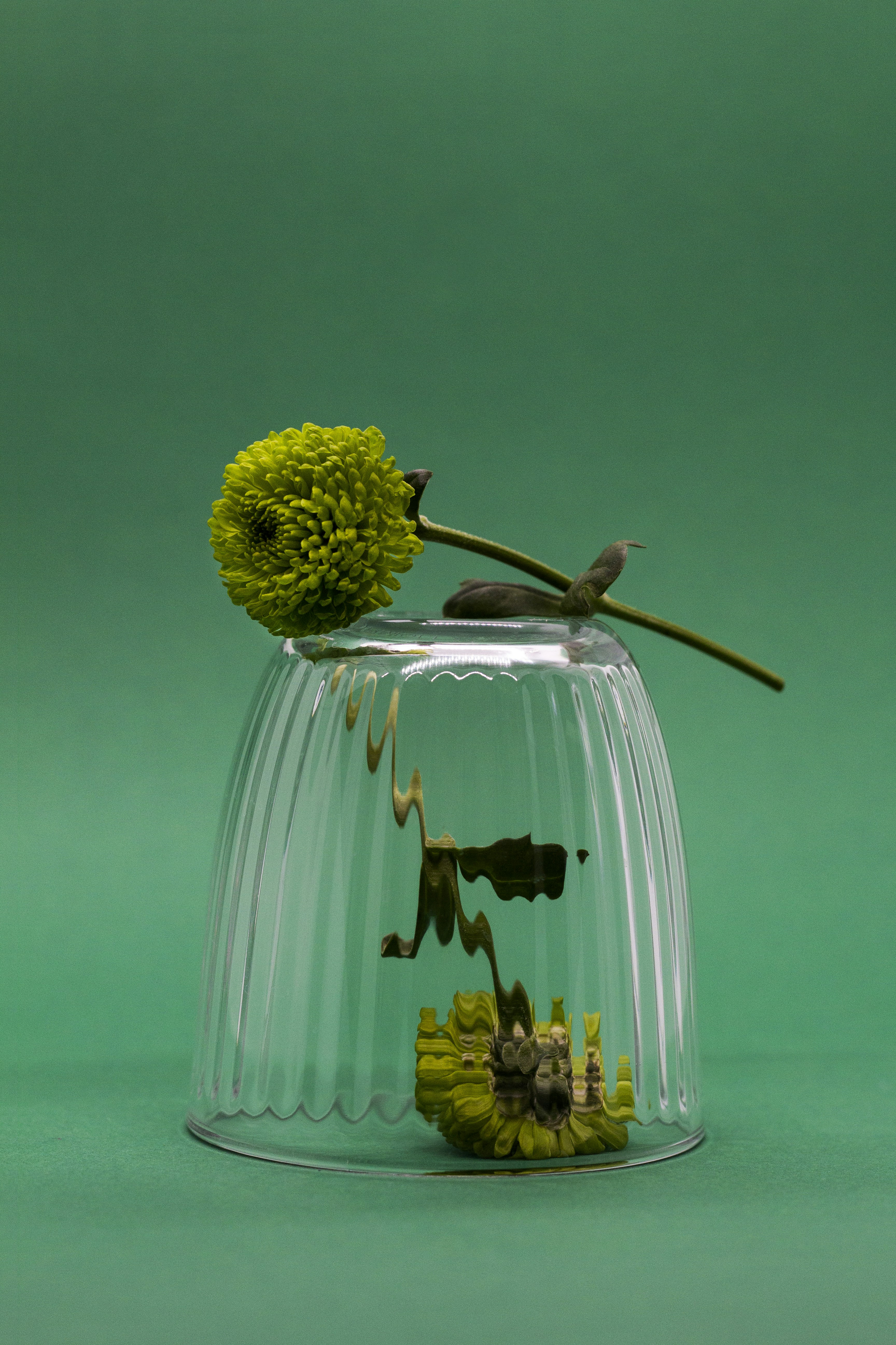 green and yellow flower bouquet in clear glass vase