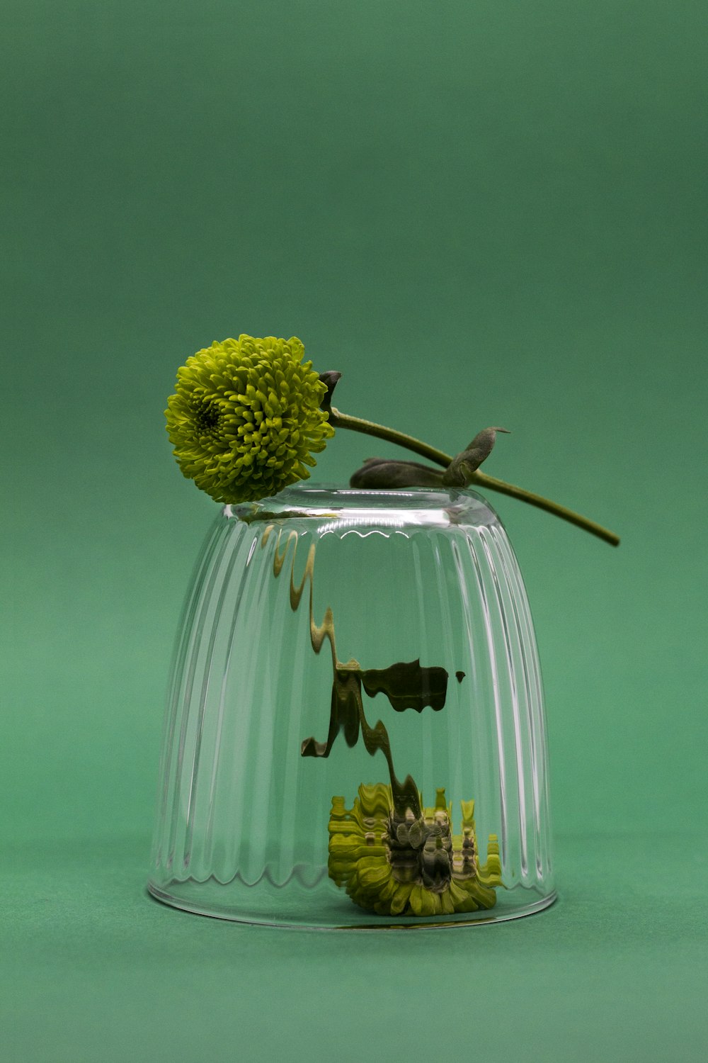 green and yellow flower bouquet in clear glass vase