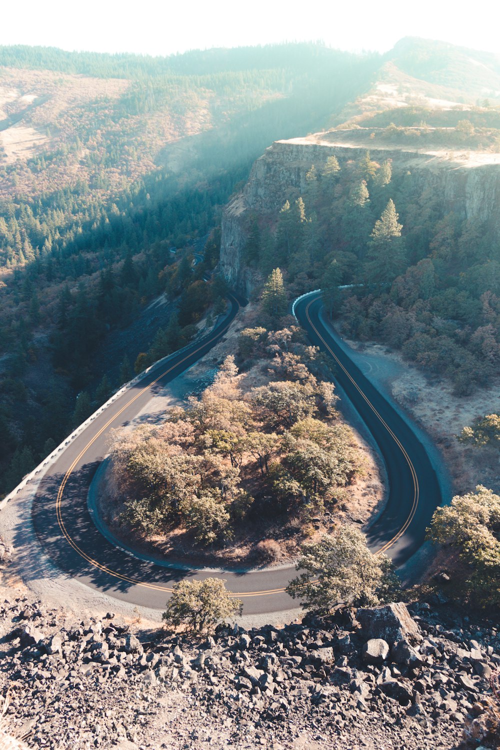 aerial view of road in the middle of green trees