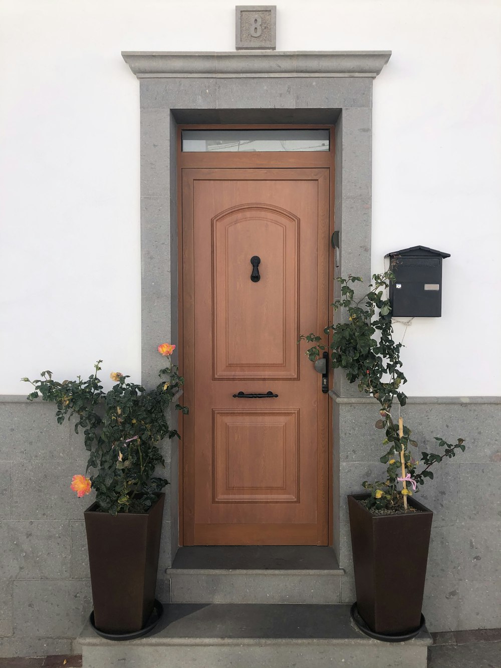 緑の鉢植えの植物の横の茶色の木製のドア