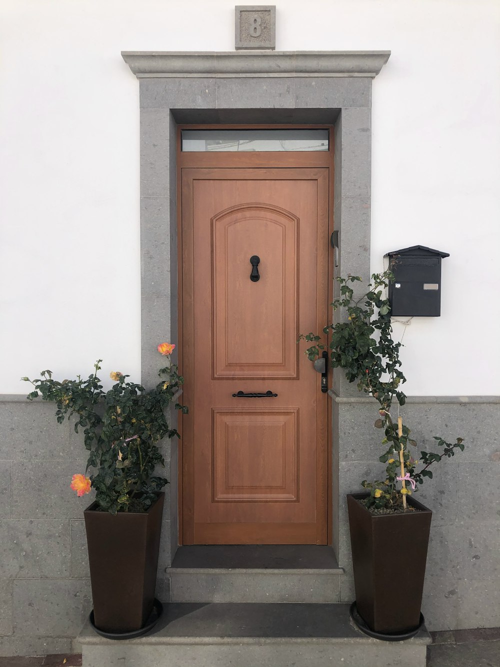 brown wooden door beside green potted plant