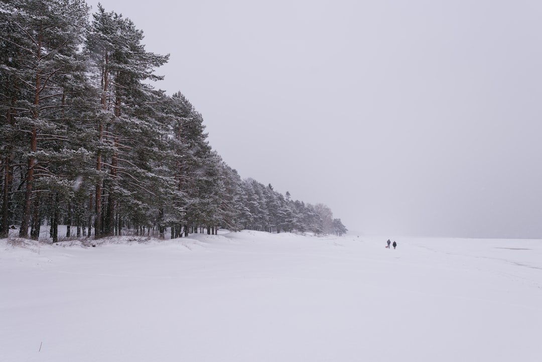 person walking on snow covered field during daytime