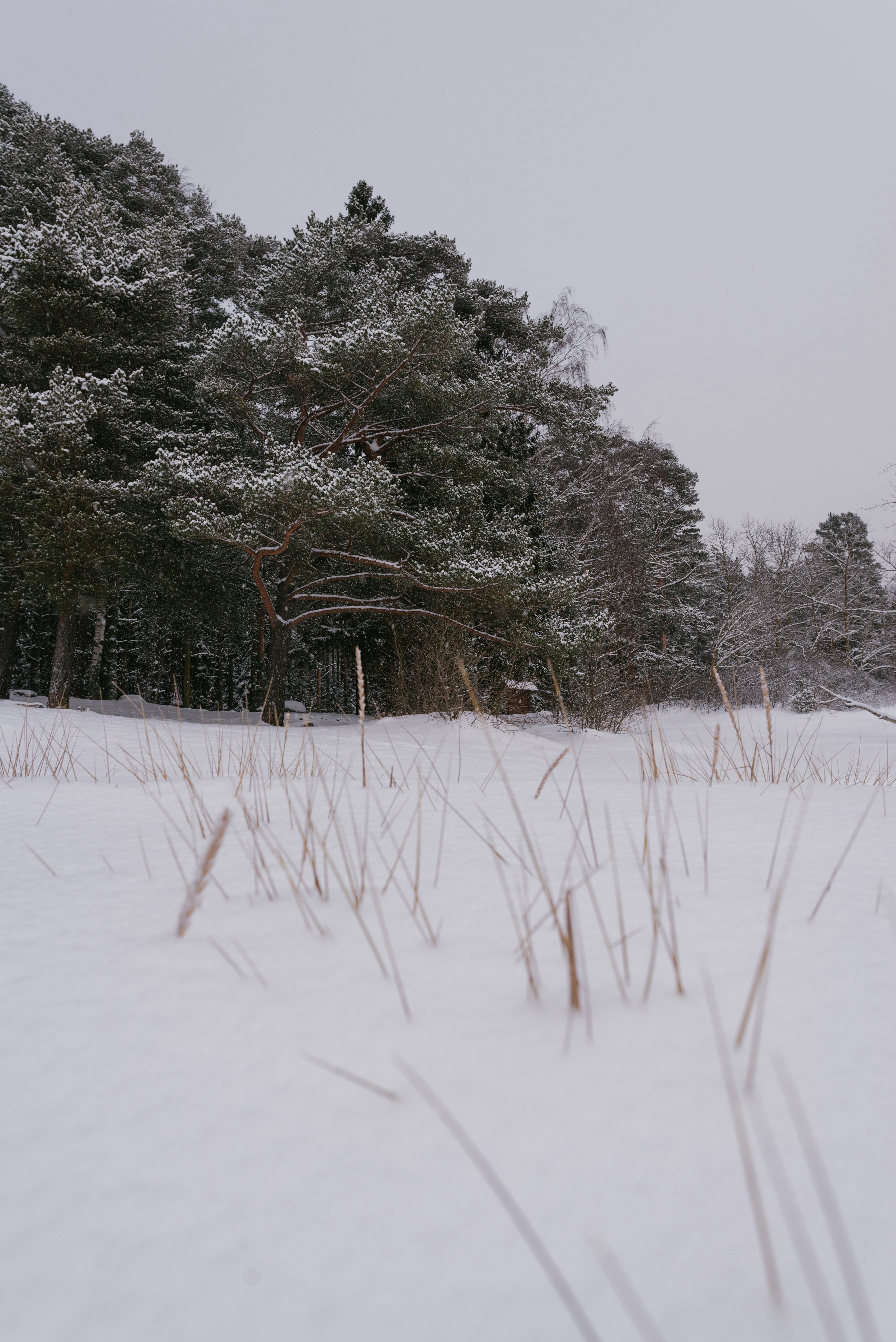 Photo by bot_va