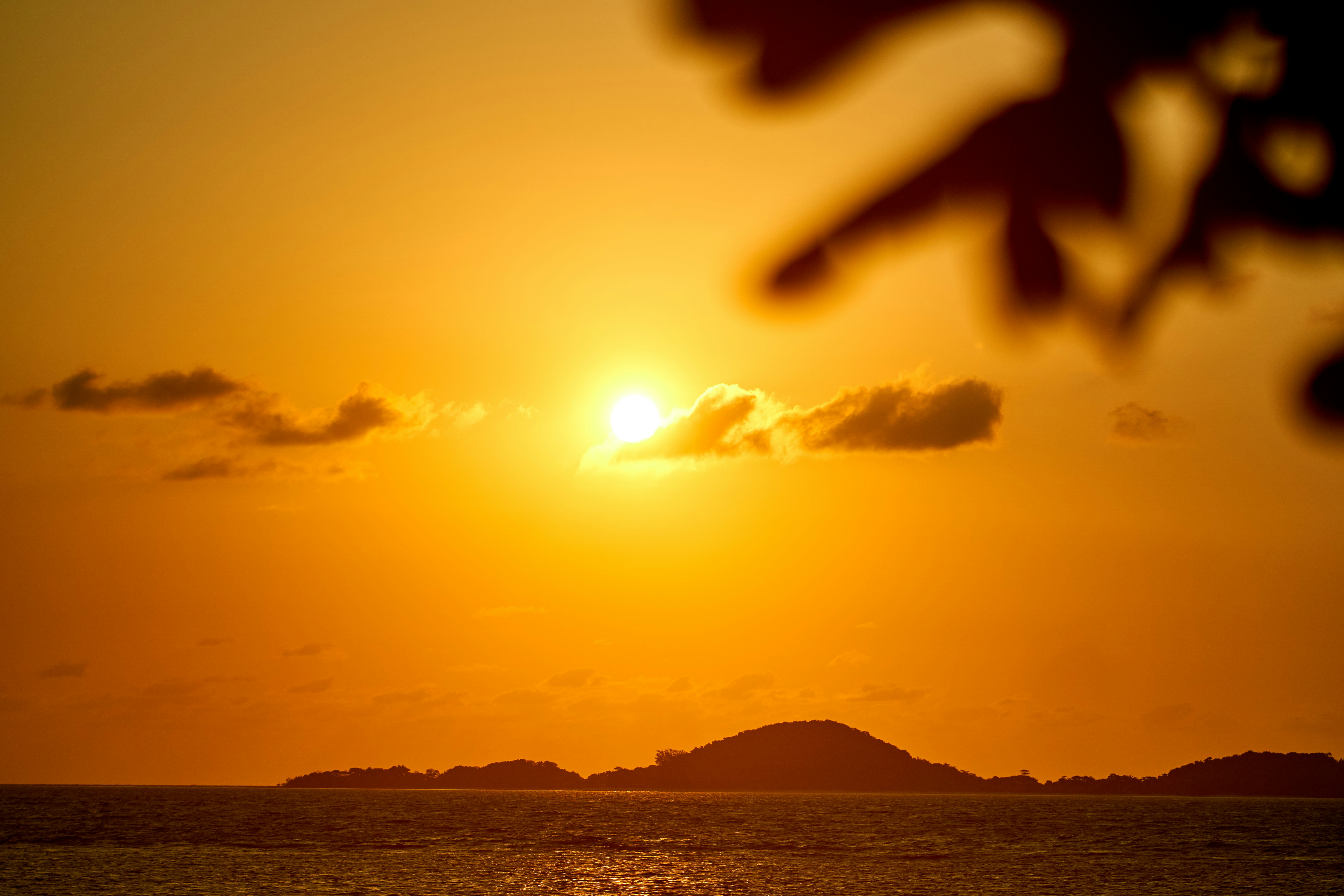 Photo by raimondklavins