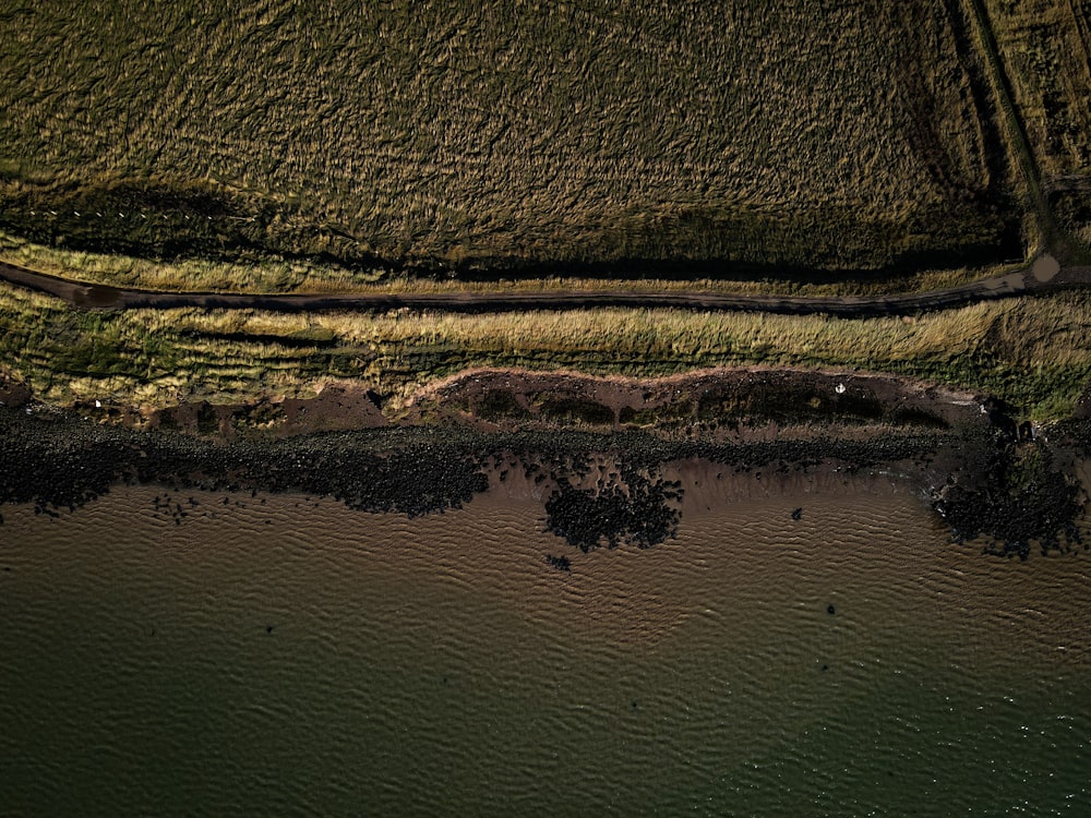 body of water near green grass field during daytime