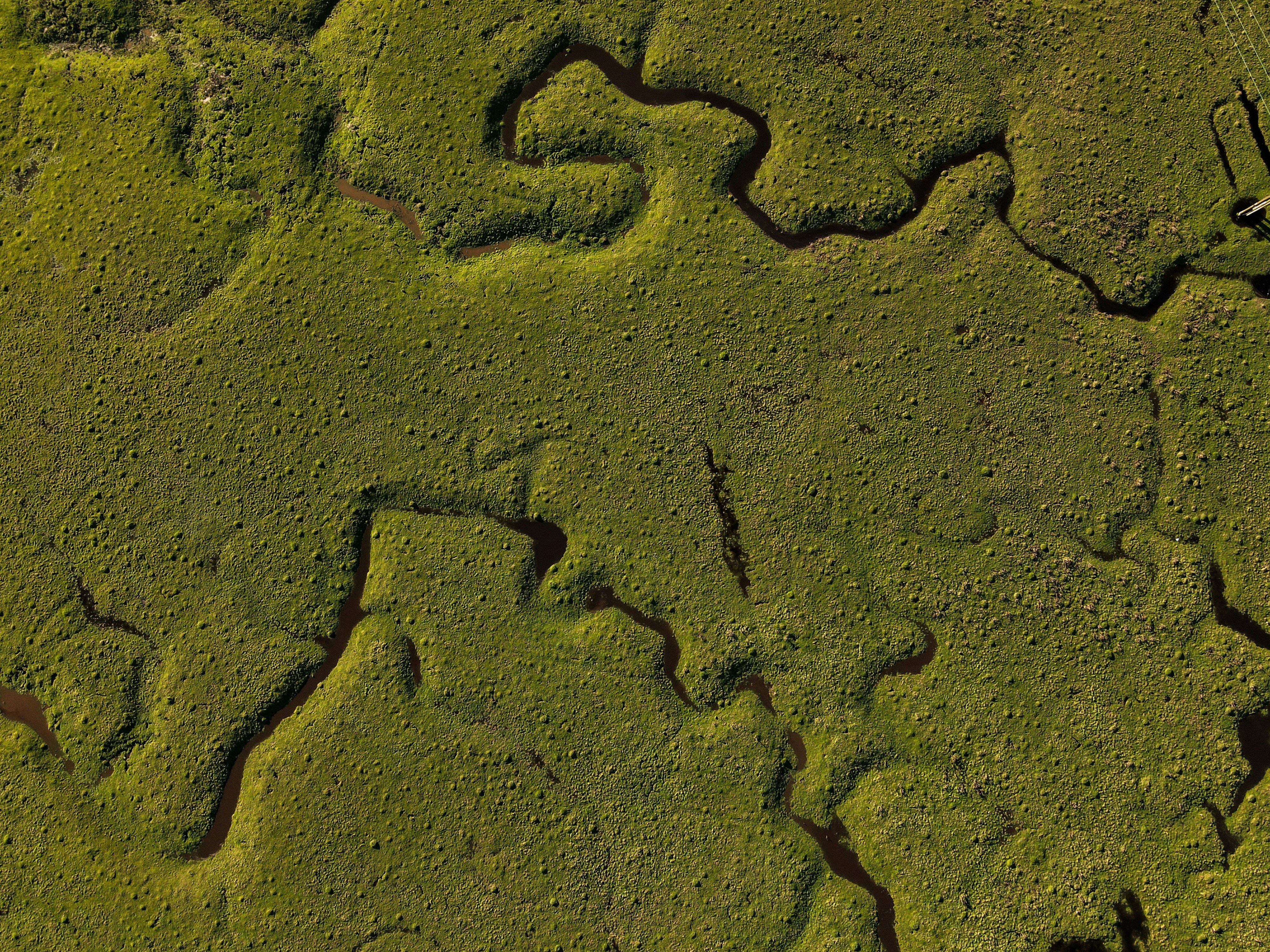 Photo by arjun_myanger