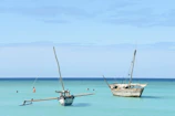 white and brown boat on sea during daytime