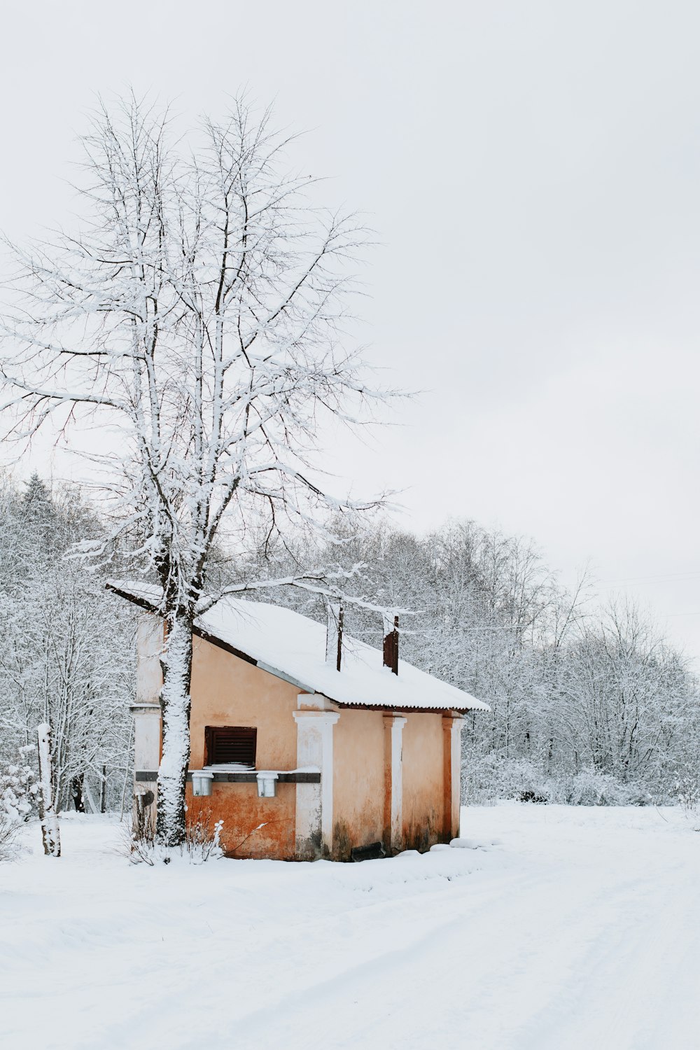 brown wooden house surrounded by snow covered trees during daytime