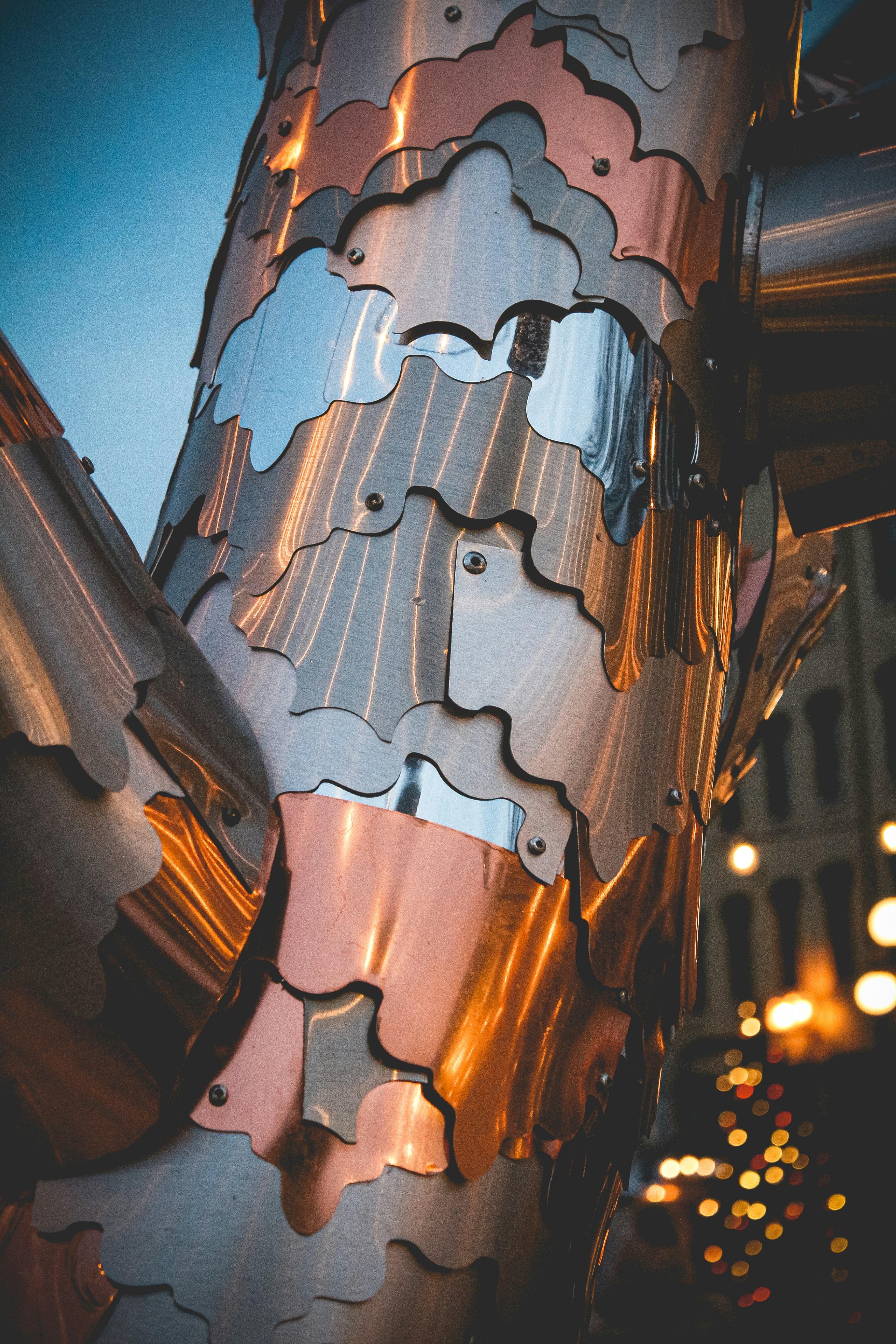 brown and black string lights