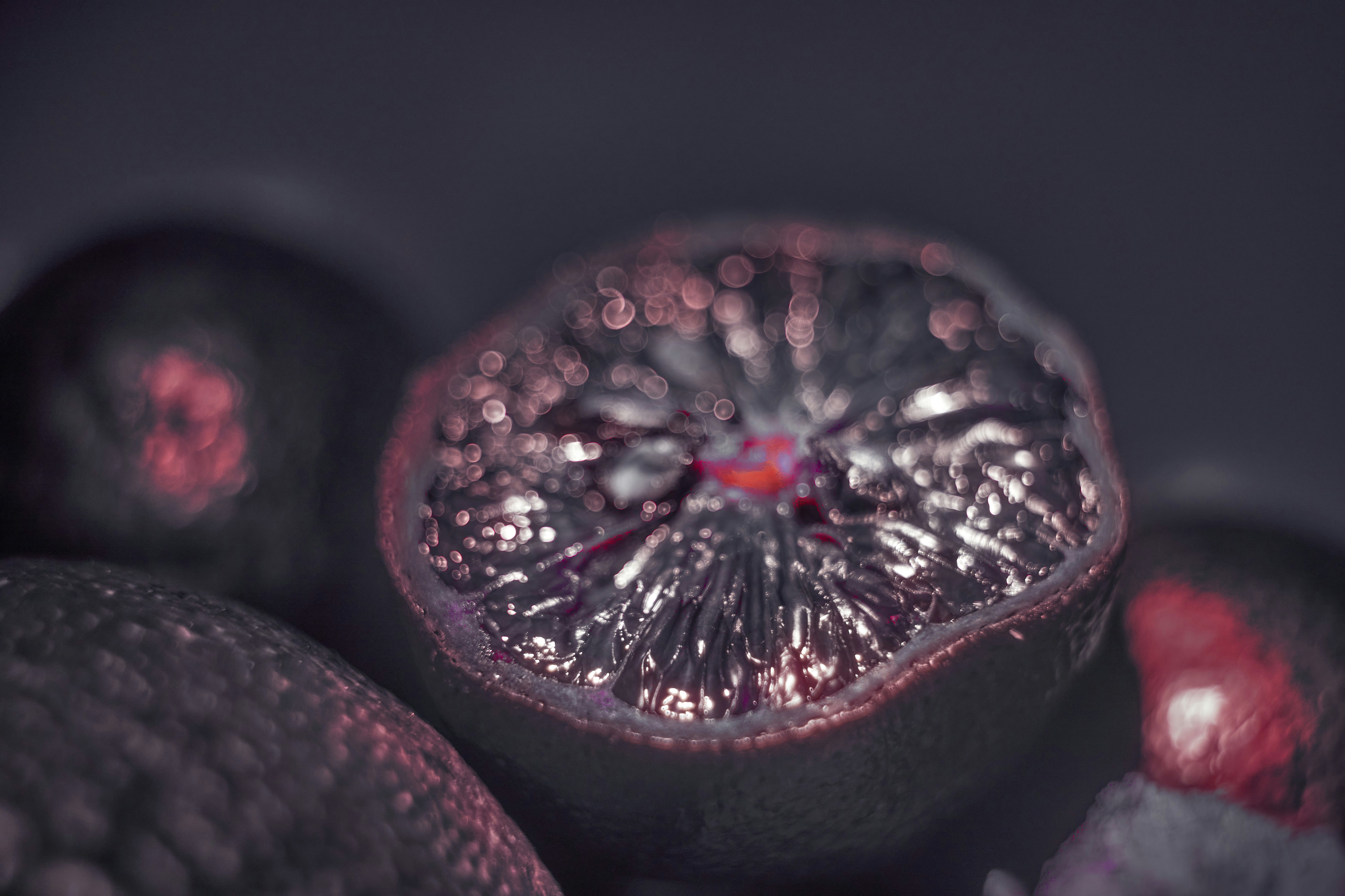 Photo by wolfgang_hasselmann