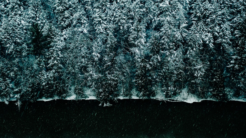 white and black fur textile