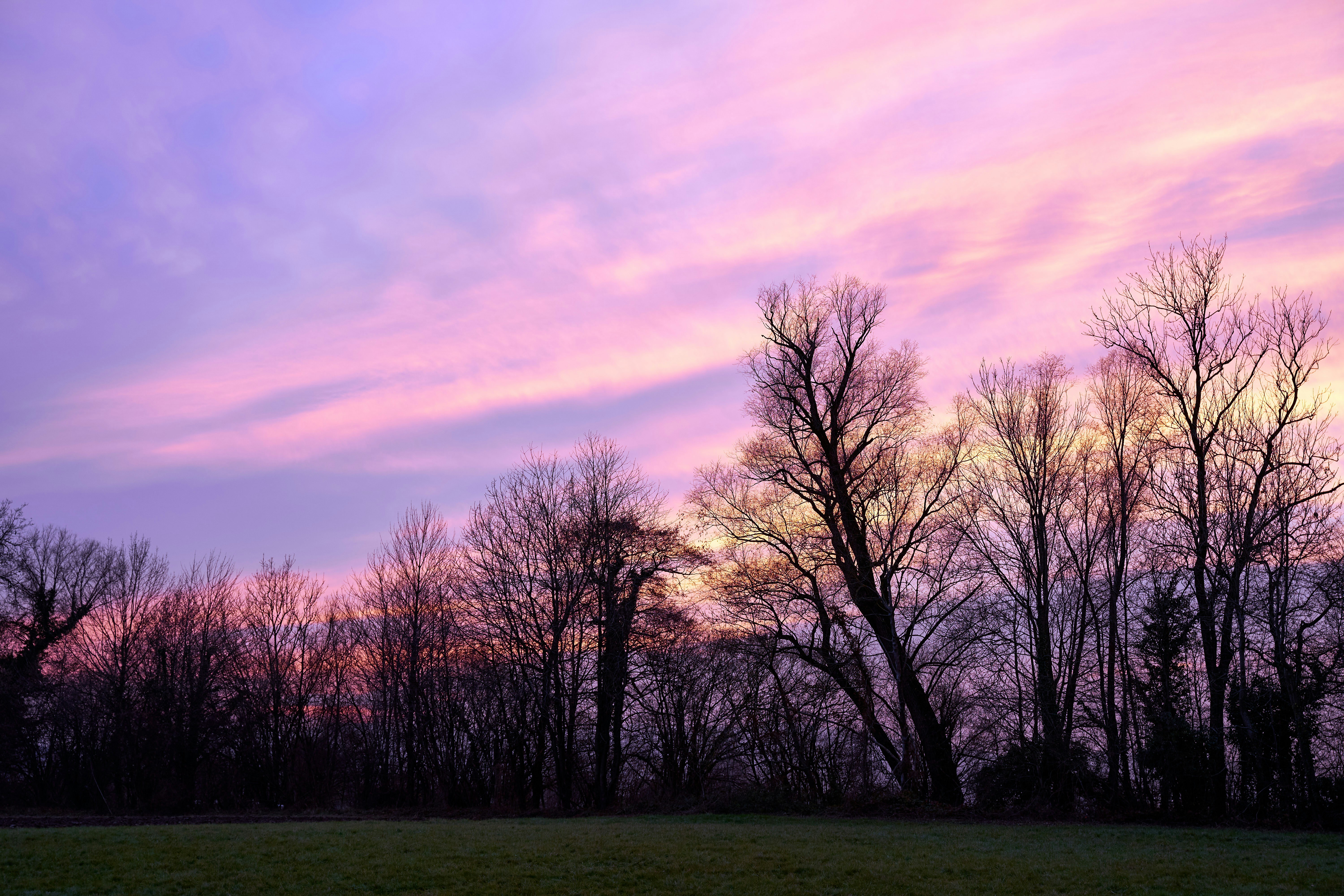 Photo by wolfgang_hasselmann