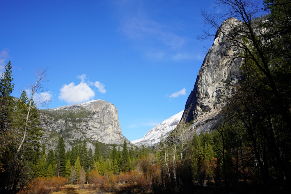 green trees near mountain under blue sky during daytime