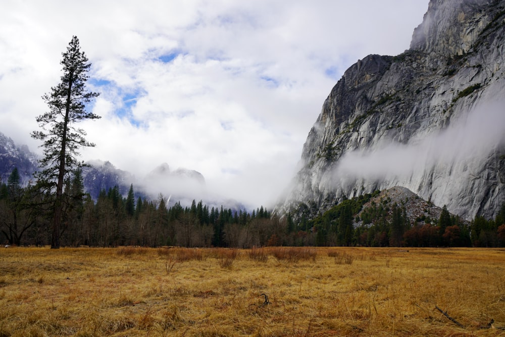 green grass field near mountain under white clouds during daytime