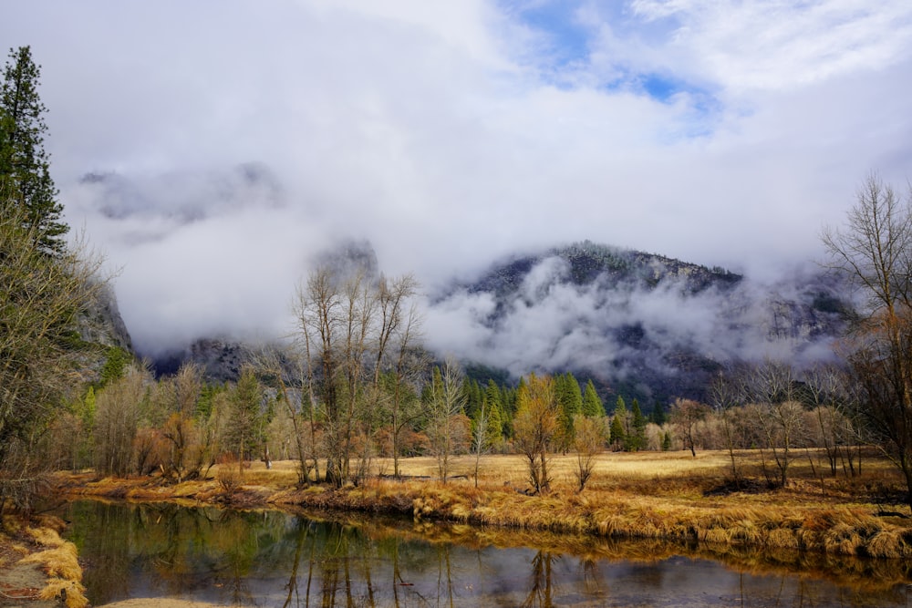 green trees near lake under white clouds during daytime