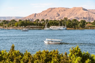 white boat on sea near green trees during daytime