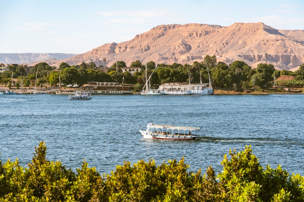 white boat on sea near green trees during daytime