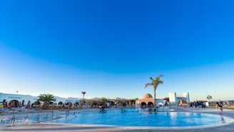 people in swimming pool during daytime
