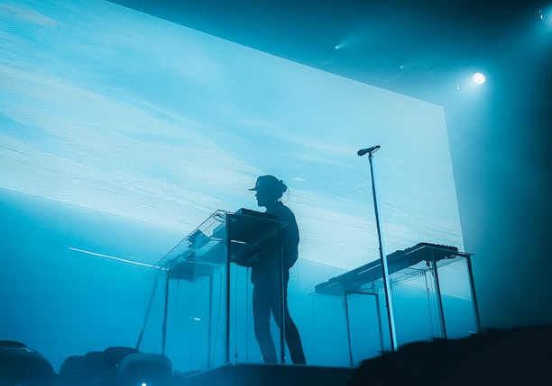 silhouette of man standing on the ladder