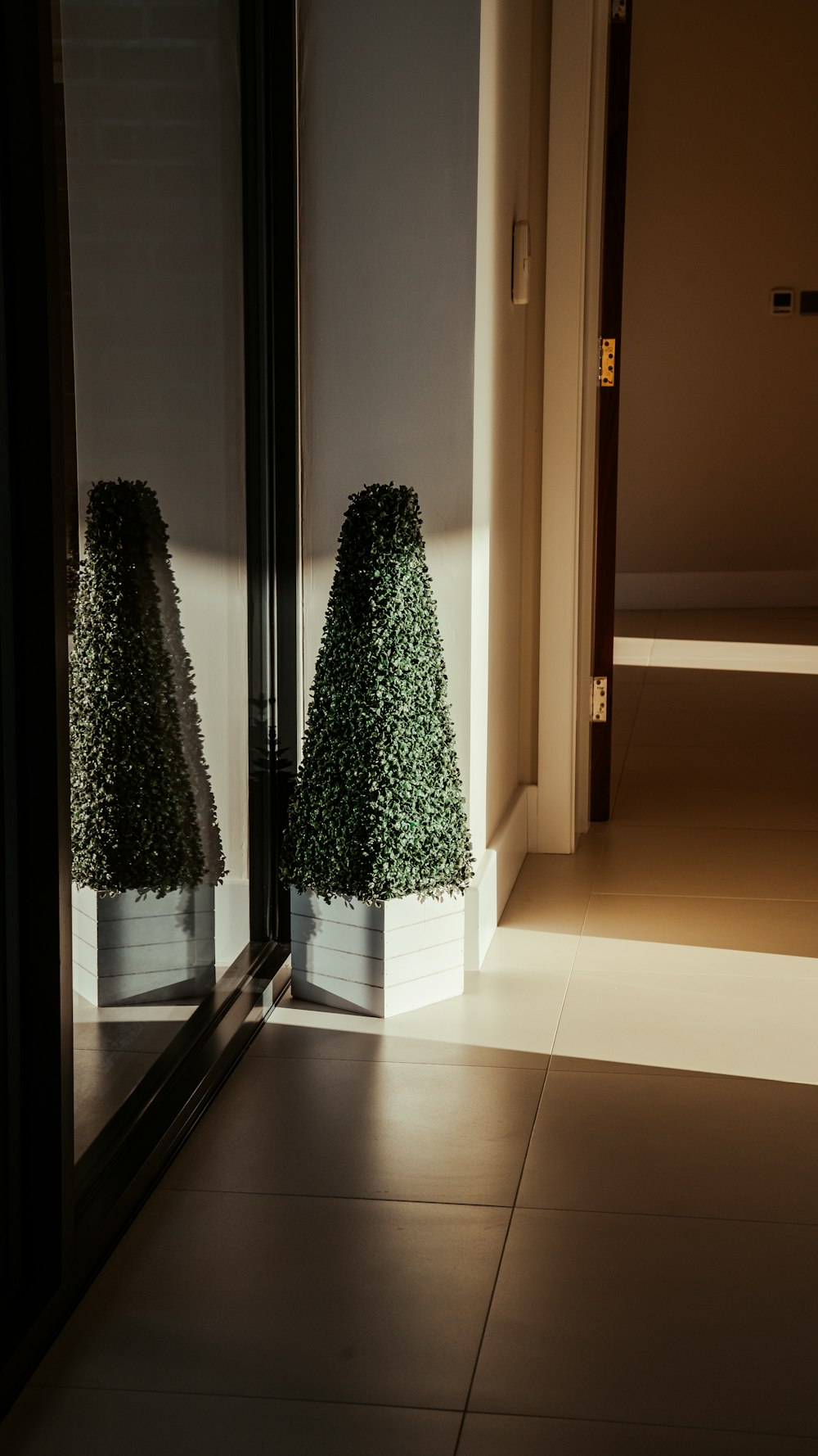 green tree on white ceramic floor tiles