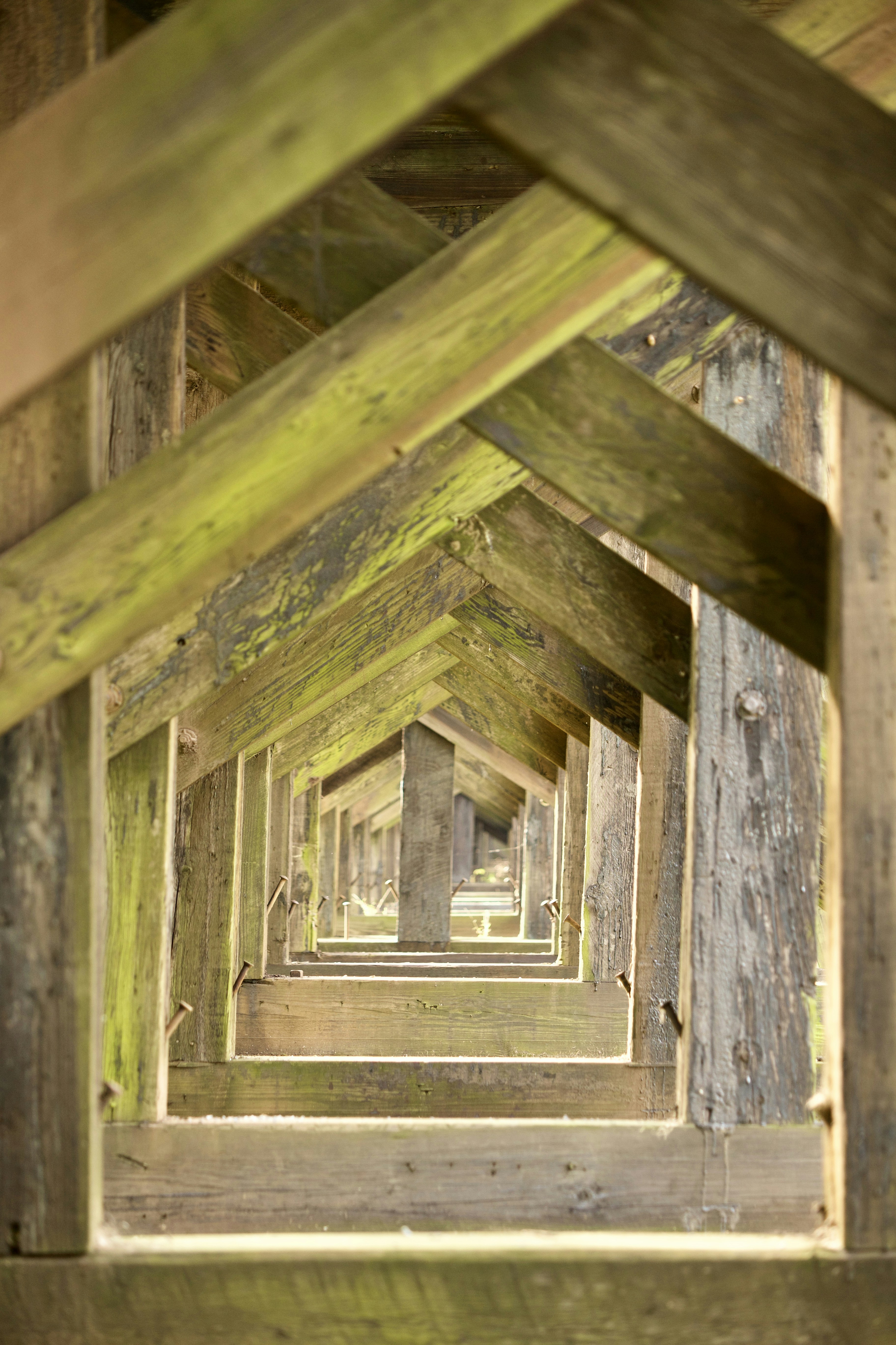 Photo by hectorfalcon