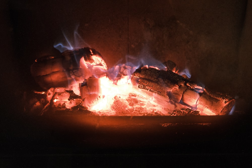 burning firewood in fire pit