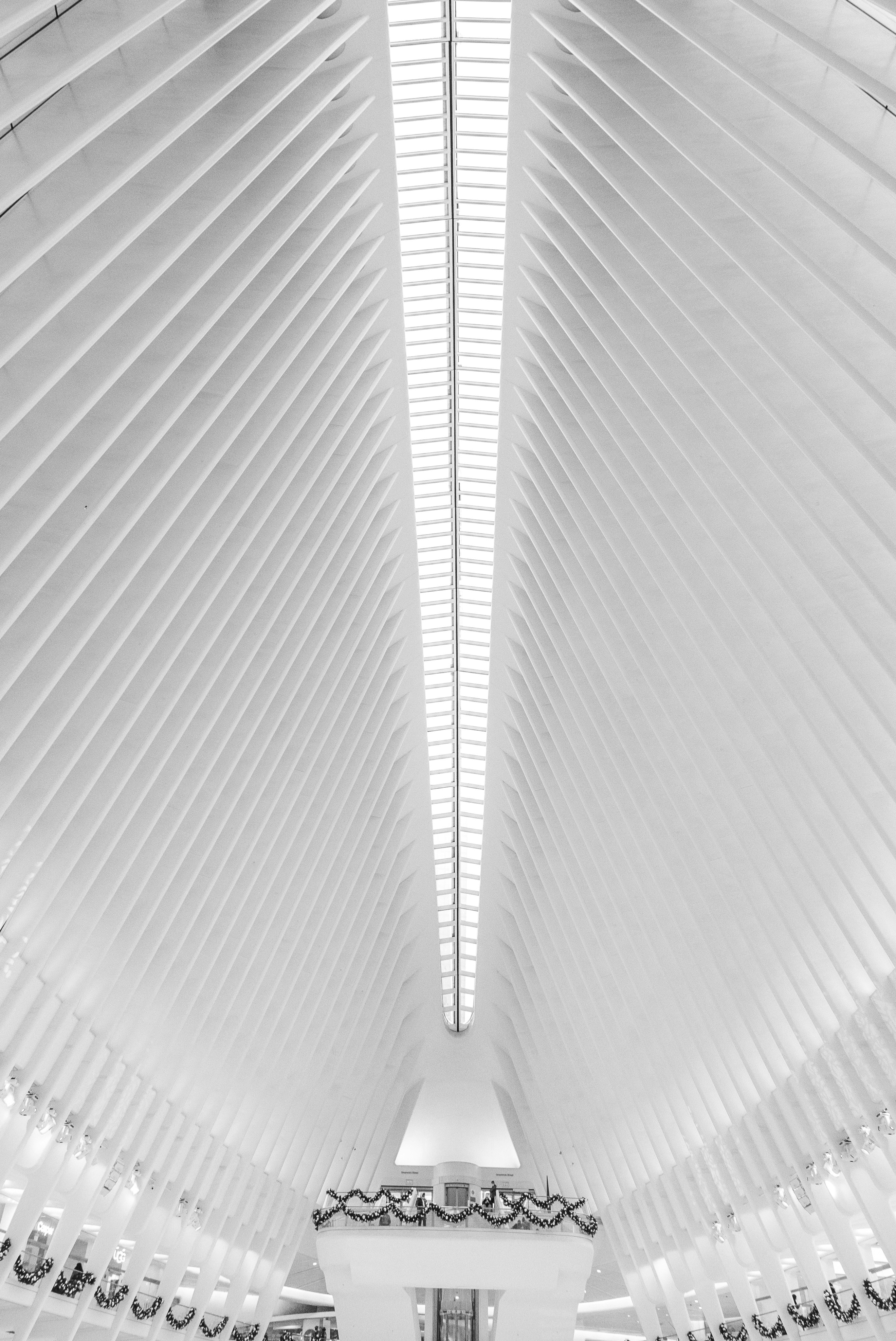 Photo by hectorfalcon