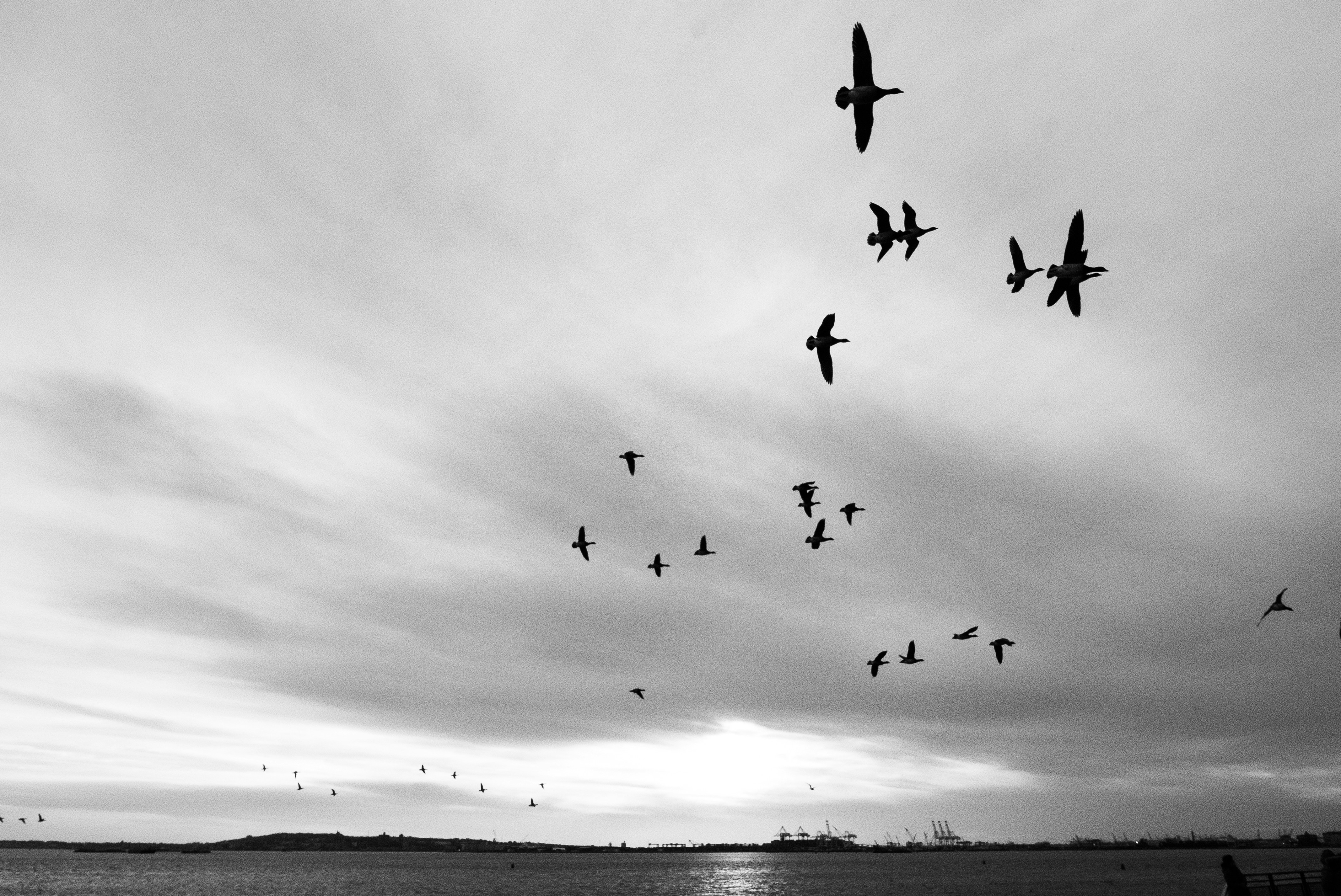 Photo by hectorfalcon