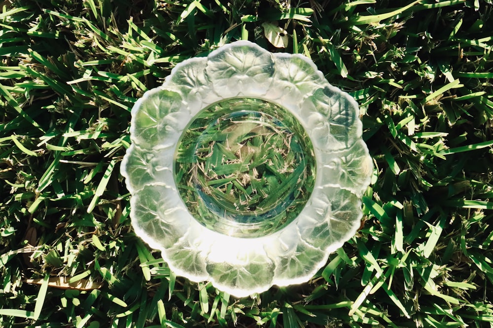 white and blue ceramic round plate on green grass