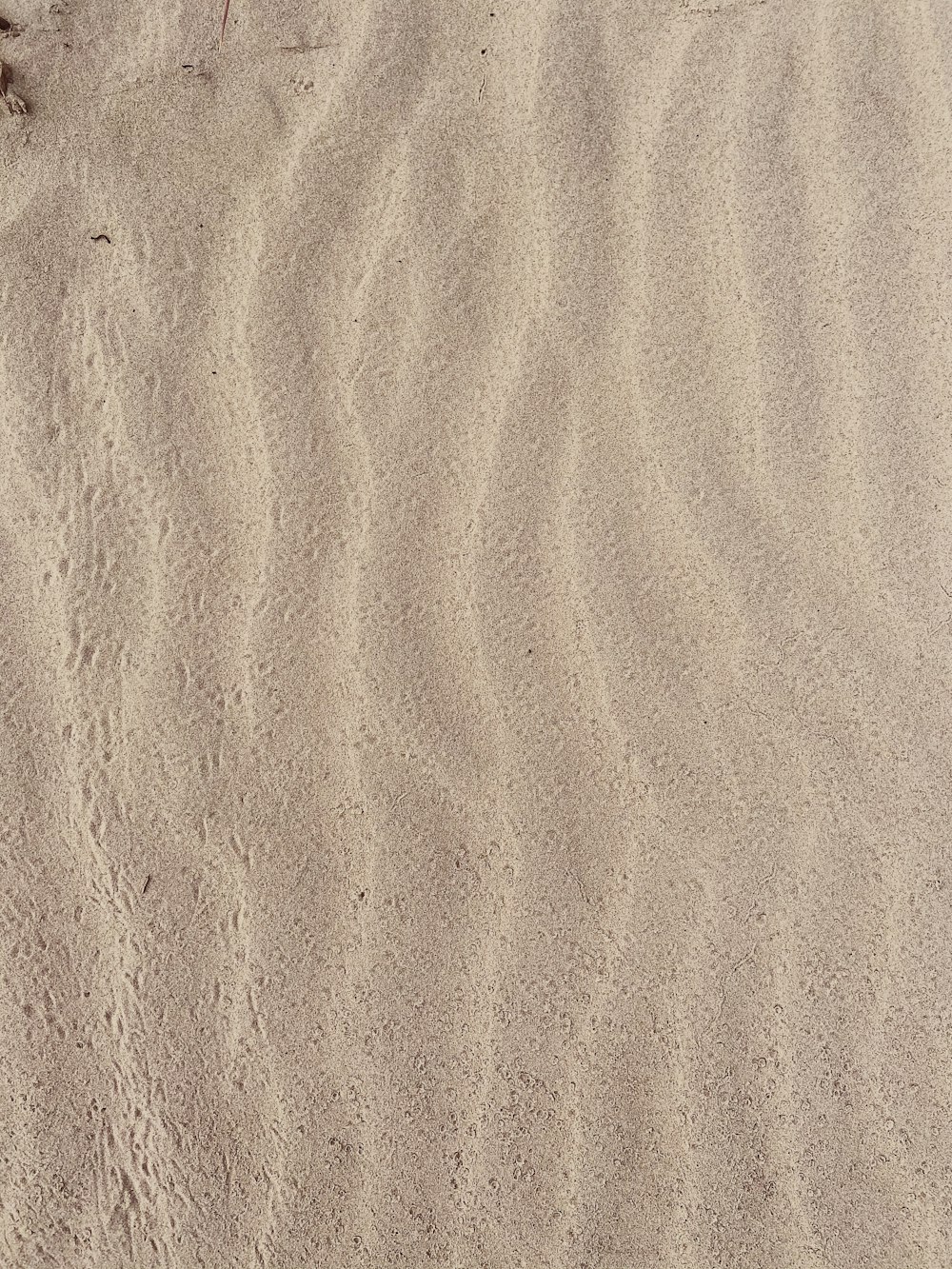 brown sand with shadow of person