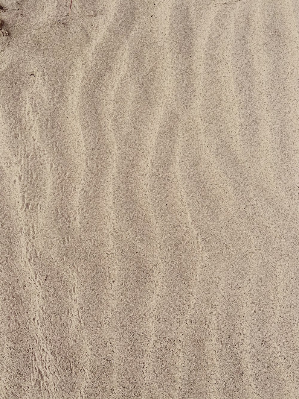 사람의 그림자가 있는 갈색 모래