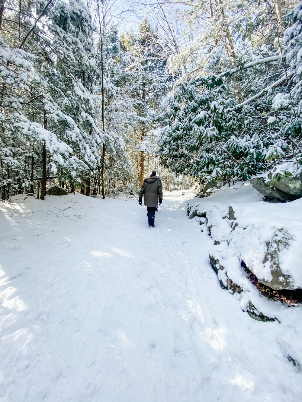 person in black jacket walking on snow covered pathway