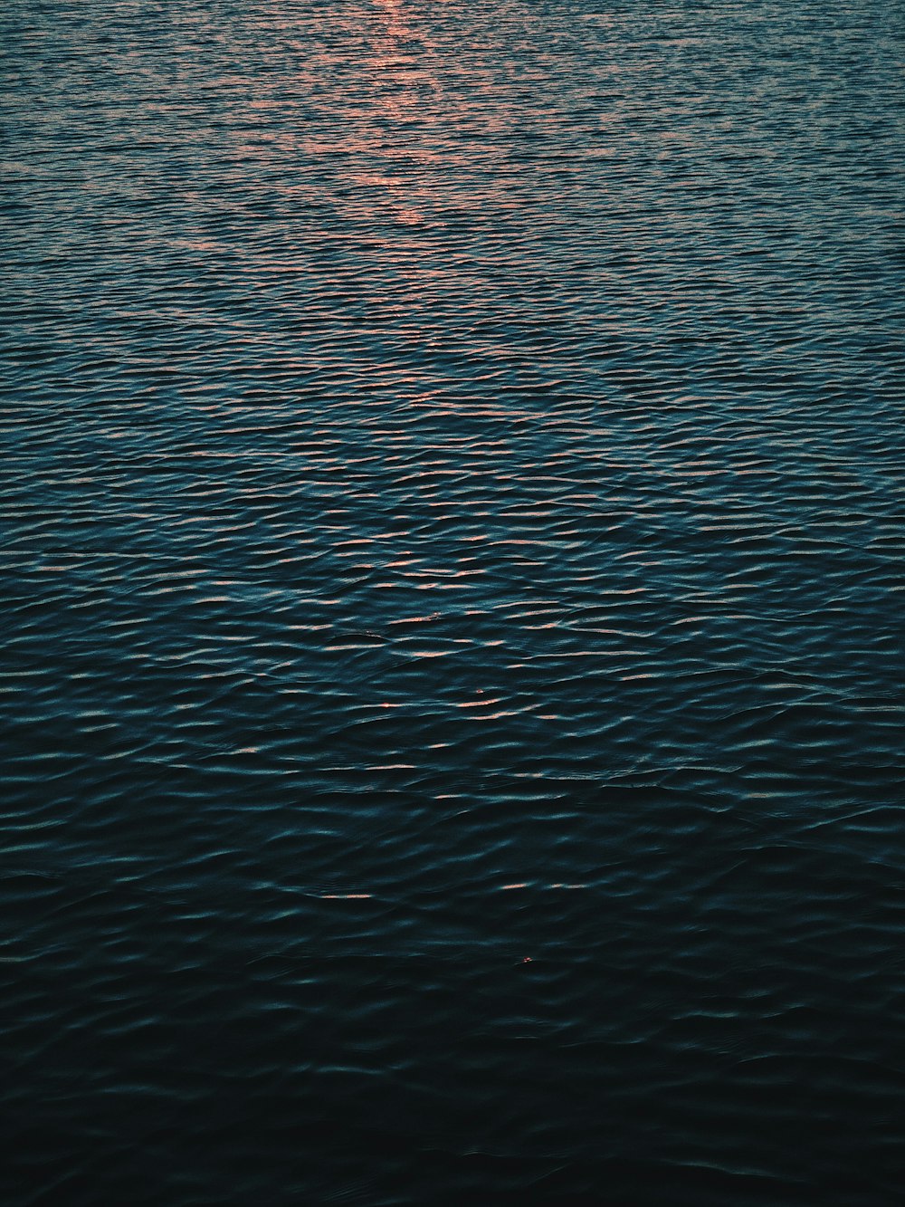 body of water during daytime