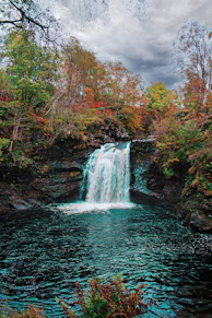 waterfalls in forest during daytime