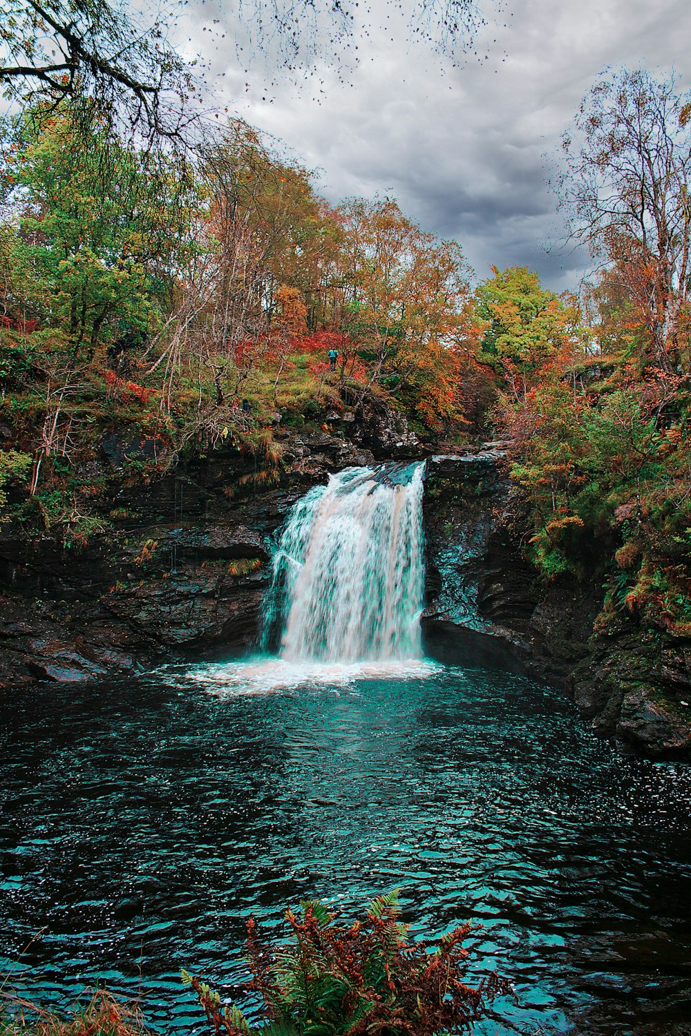 Cascate nella foresta durante il giorno