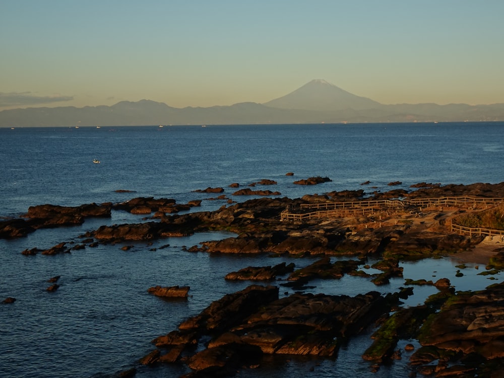 brown rocks on sea shore during daytime