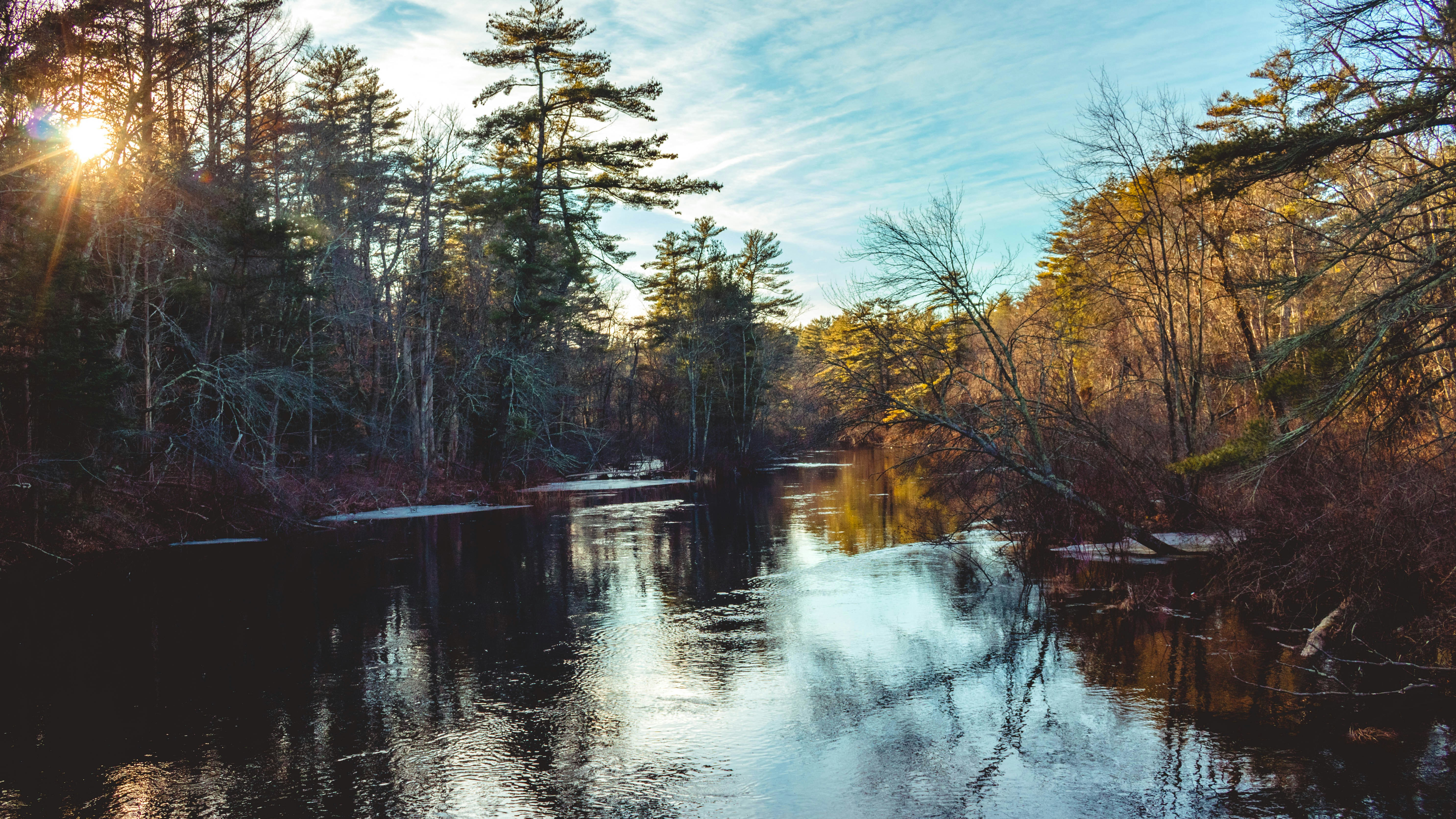 arbres verts au bord de la rivière sous le ciel bleu pendant la journée