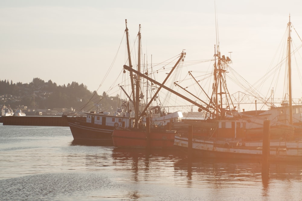 brown ship on body of water during daytime