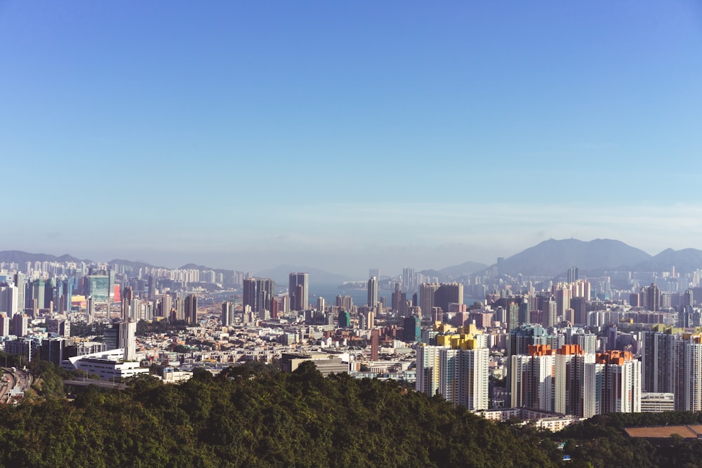 city skyline under blue sky during daytime