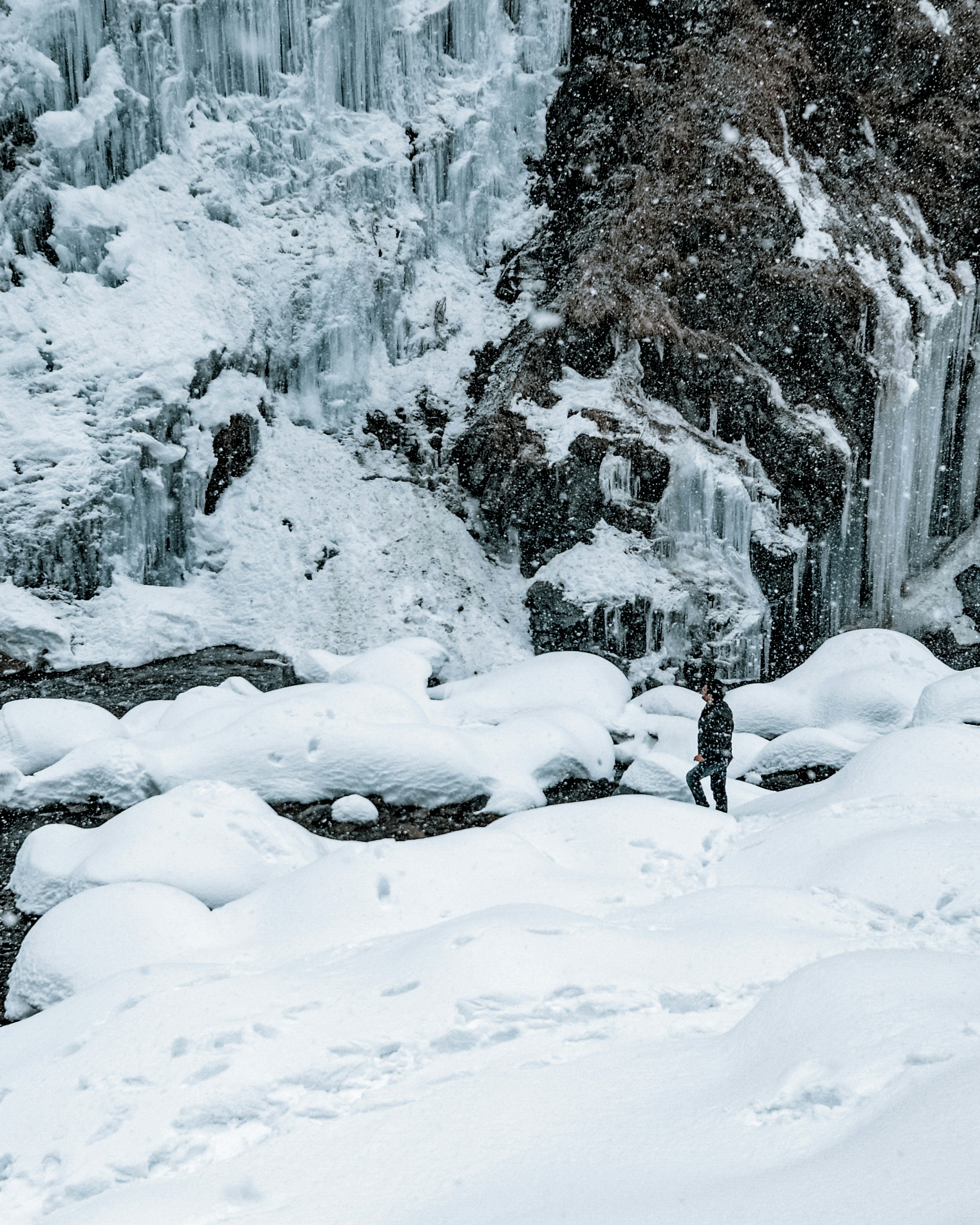 Person in schwarzer Jacke auf schneebedecktem Boden stehend