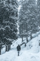 person in black jacket standing on snow covered ground near trees during daytime