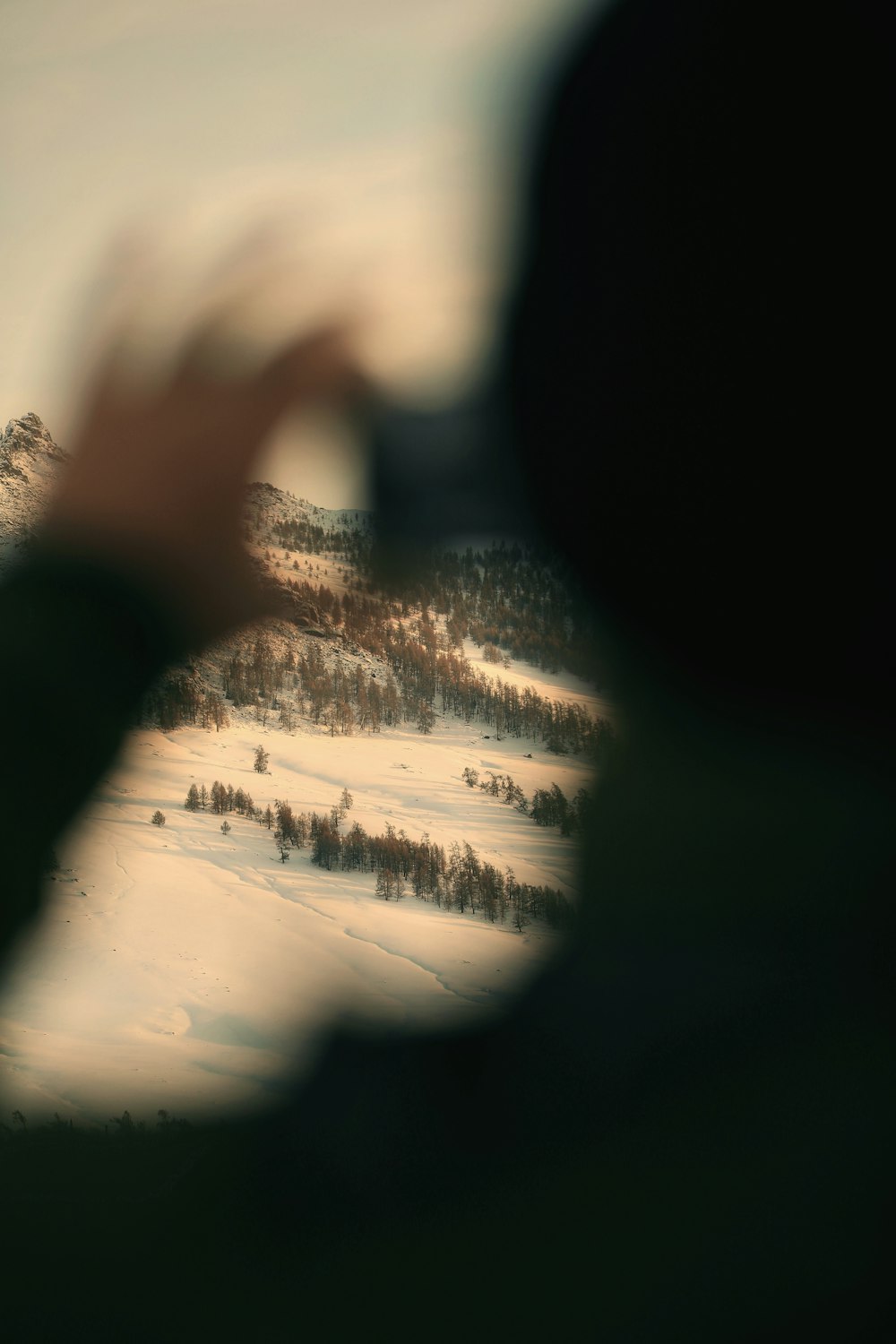 silhouette of persons hand