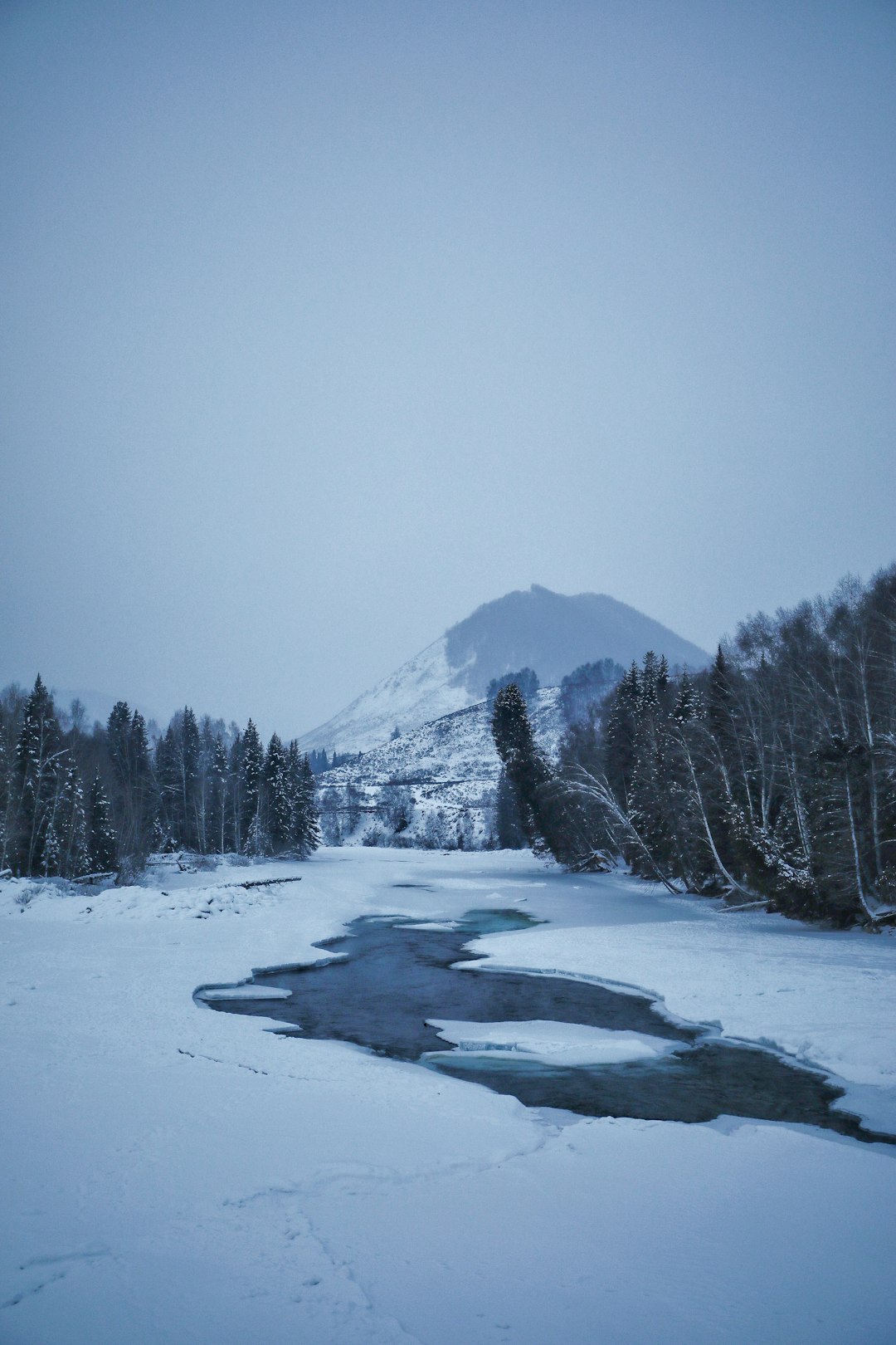 snow covered mountain and trees during daytime