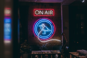A dimly lit room features a bright, colorful neon sign on a brick wall. The sign displays a bird within blue, red, and white circular designs, above a rectangular 'ON AIR' sign. Beneath the signage, there are several vinyl records and a potted plant visible.