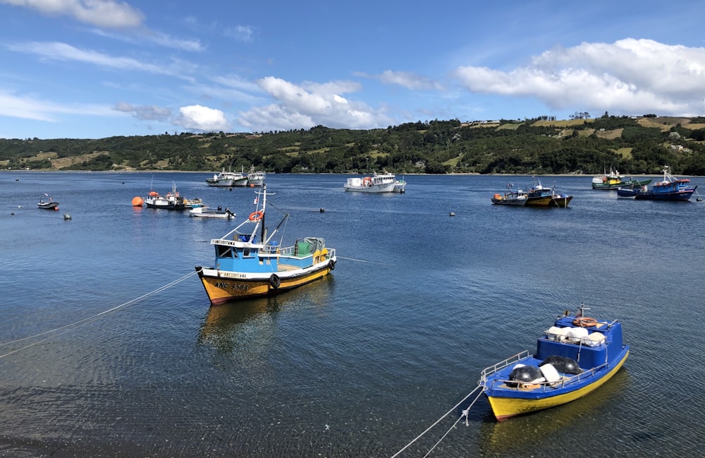 blue and yellow boat on sea under blue sky during daytime