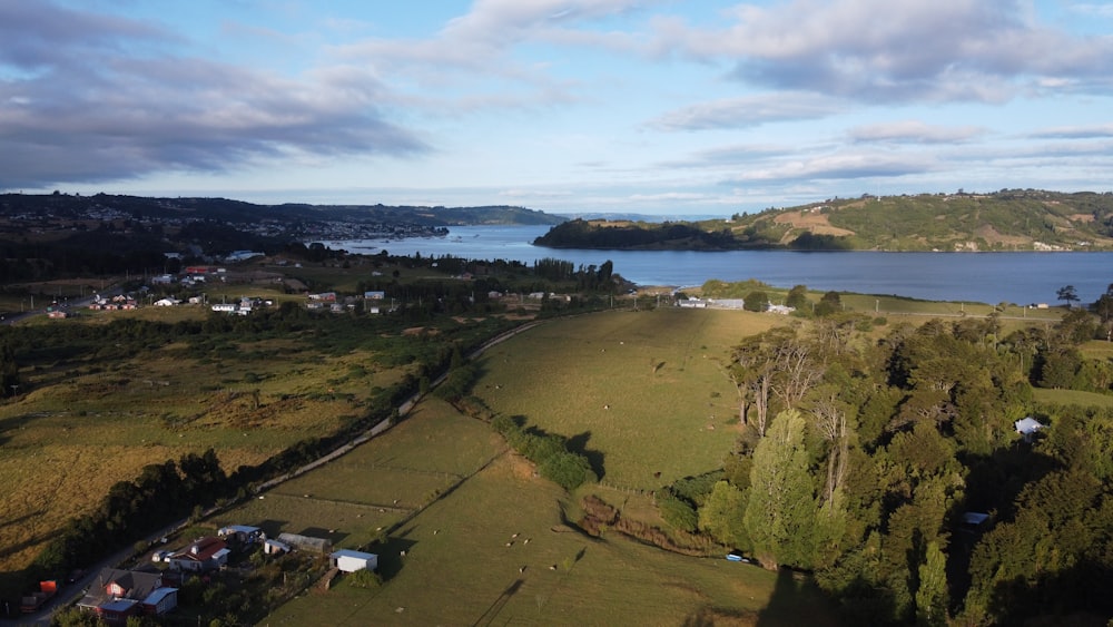 aerial view of green trees and body of water during daytime