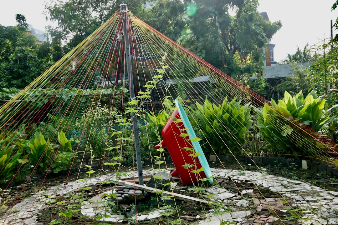 red and white wooden house on green and brown roof, Permaculture garden created in abandoned lots in the center of the c
